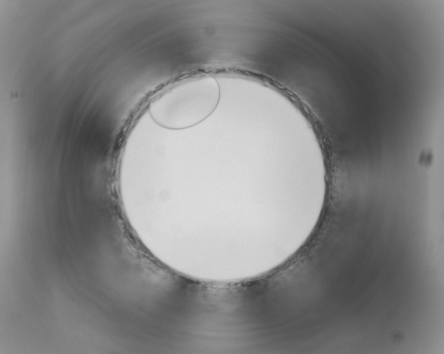 X0000113110832200908281015