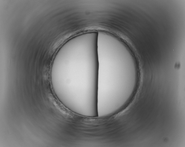X0000113110833200908281015