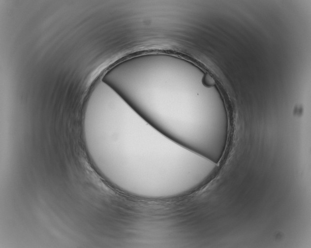 X0000113110834200908281015