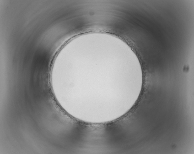 X0000113110836200908281015