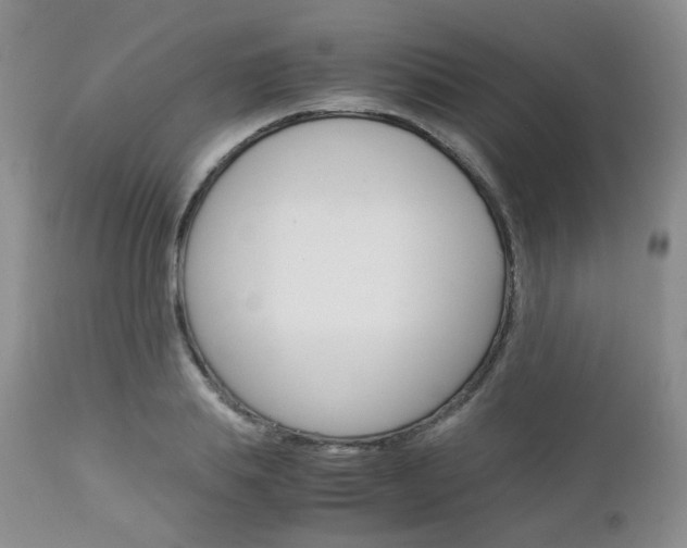 X0000113110839200908281015