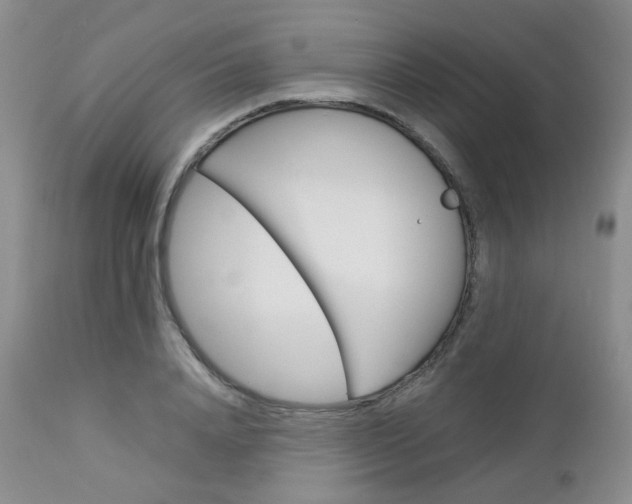 X0000113110840200908281015