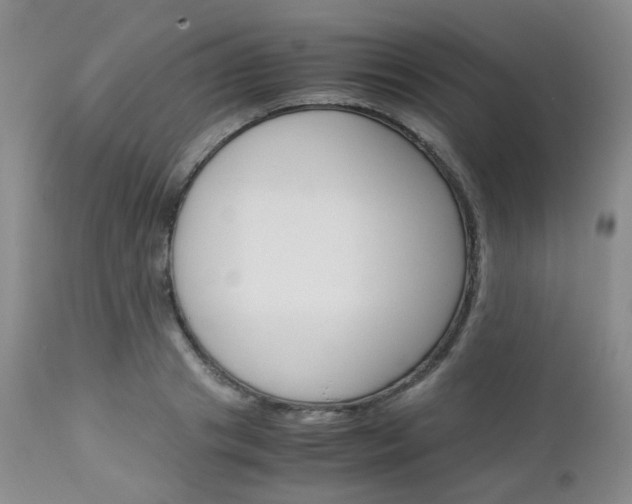 X0000113110841200908281015
