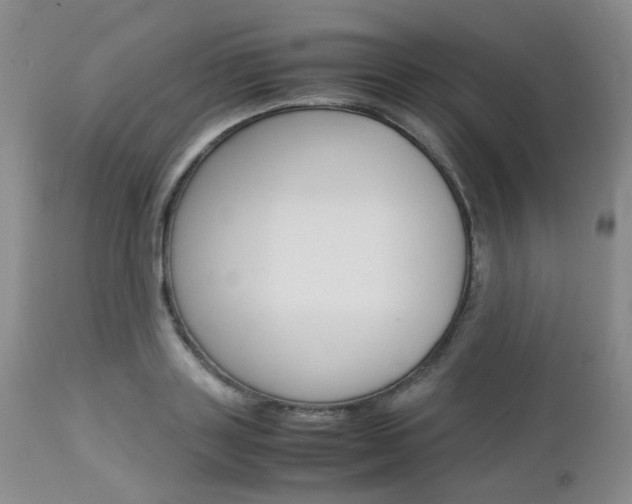 X0000113110843200908281015