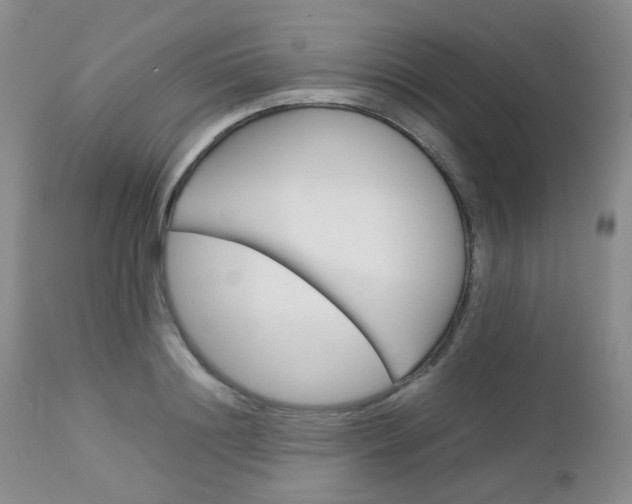 X0000113110844200908281015