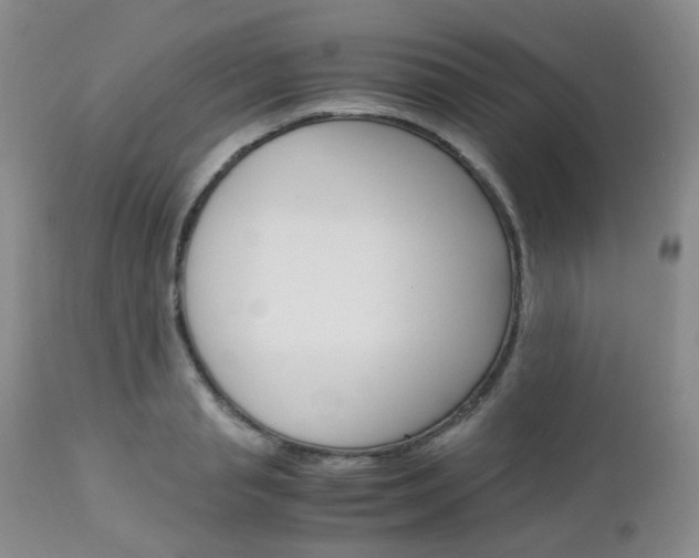 X0000113110845200908281015