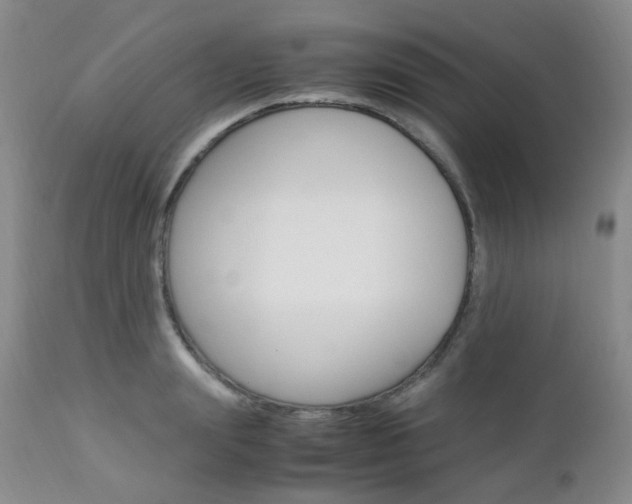 X0000113110847200908281015