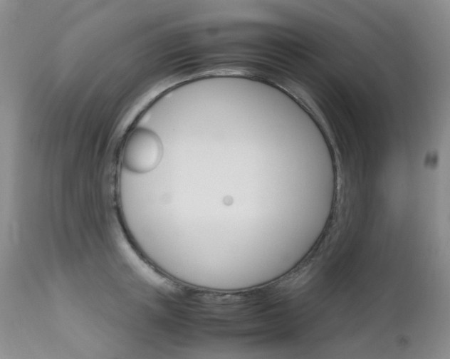 X0000113110851200908281015