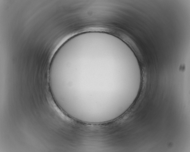 X0000113110852200908281015