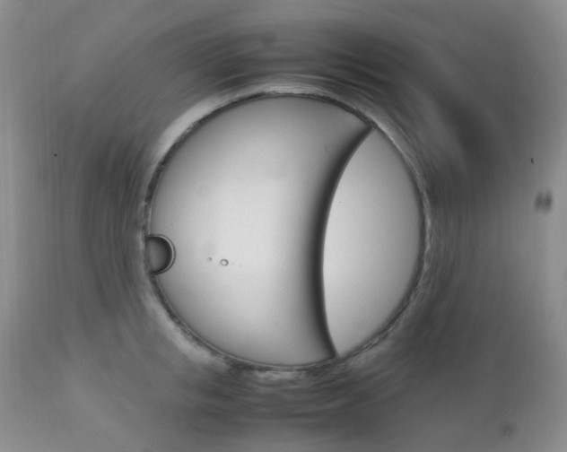 X0000113110853200908281015