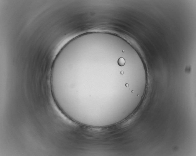 X0000113110855200908281015