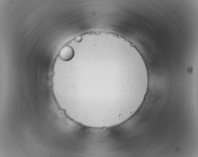 X0000113110856200908281015