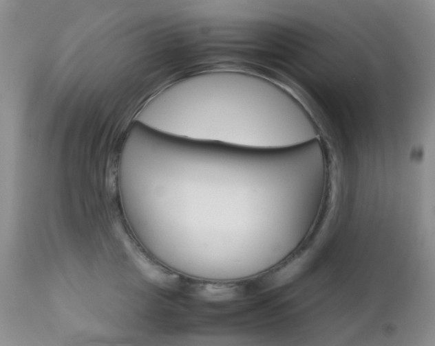 X0000113110857200908281015