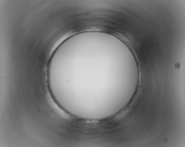 X0000113110859200908281015