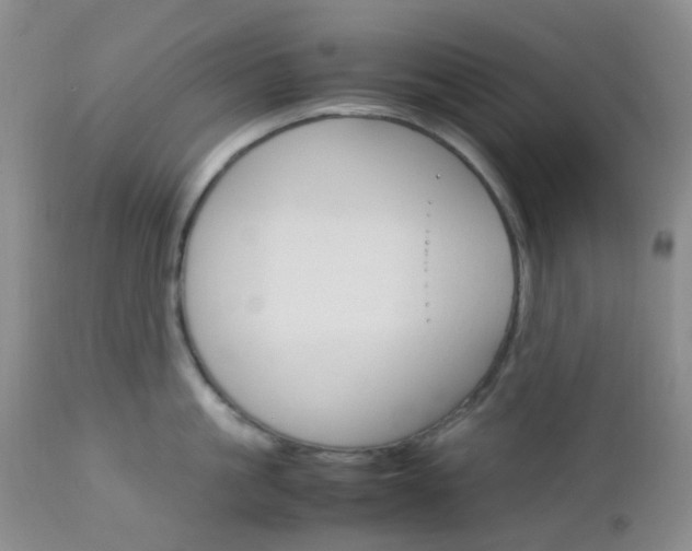 X0000113110861200908281015