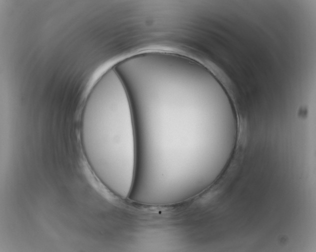 X0000113110862200908281015