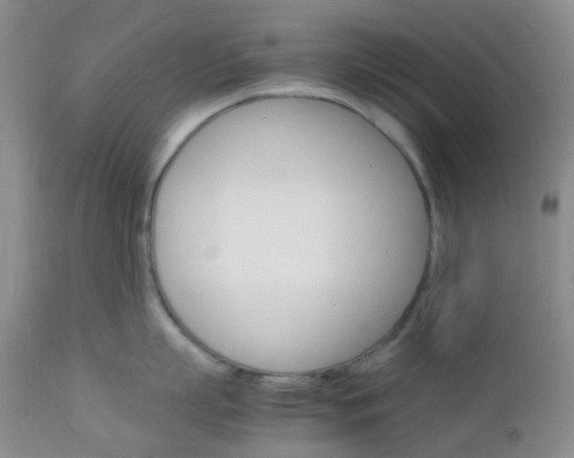 X0000113110863200908281015
