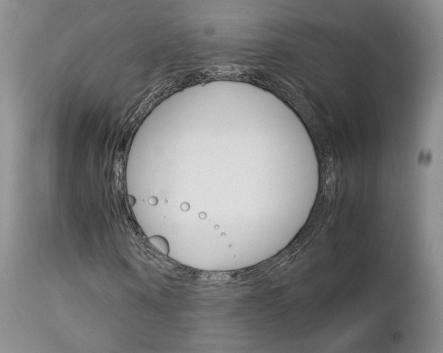 X0000113110866200908281015