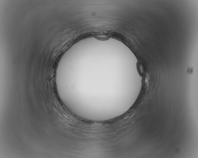 X0000113110867200908281015