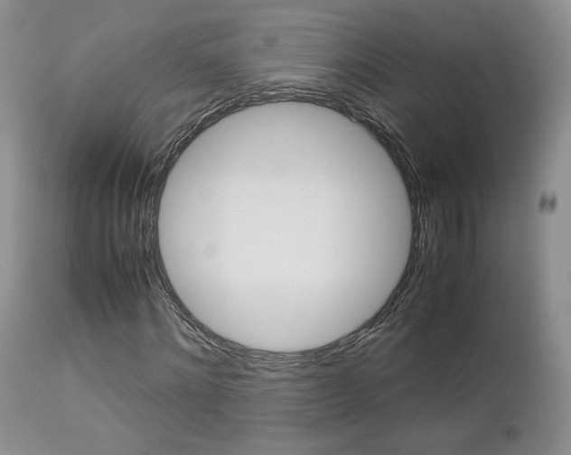 X0000113110868200908281015