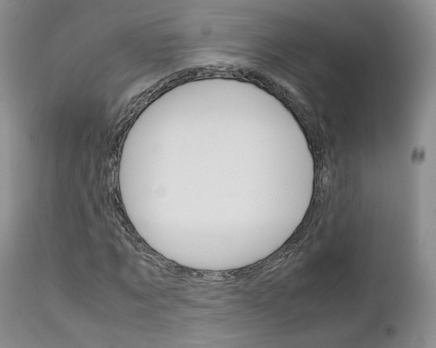 X0000113110869200908281015