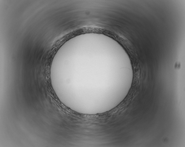 X0000113110870200908281015