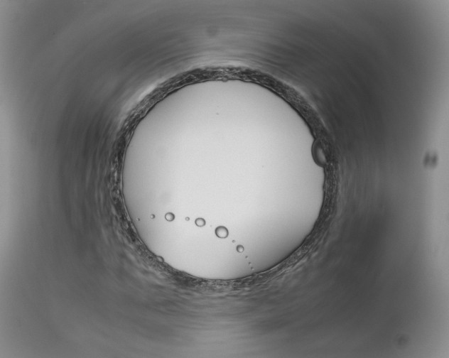 X0000113110871200908281015