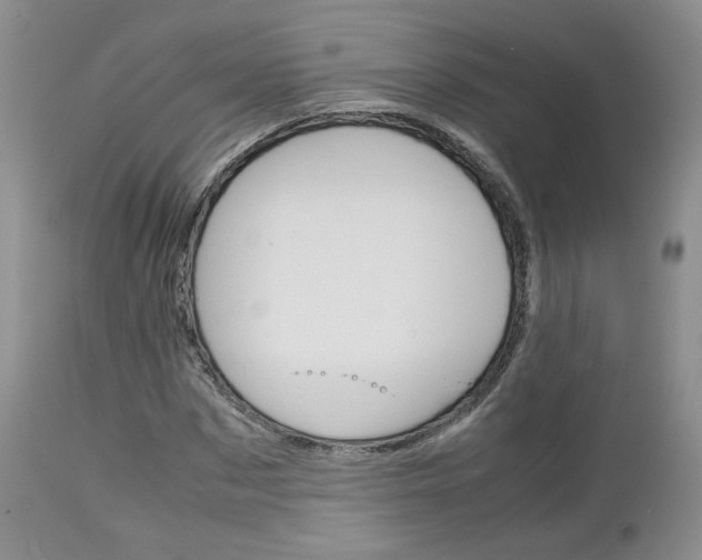 X0000113110873200908281015