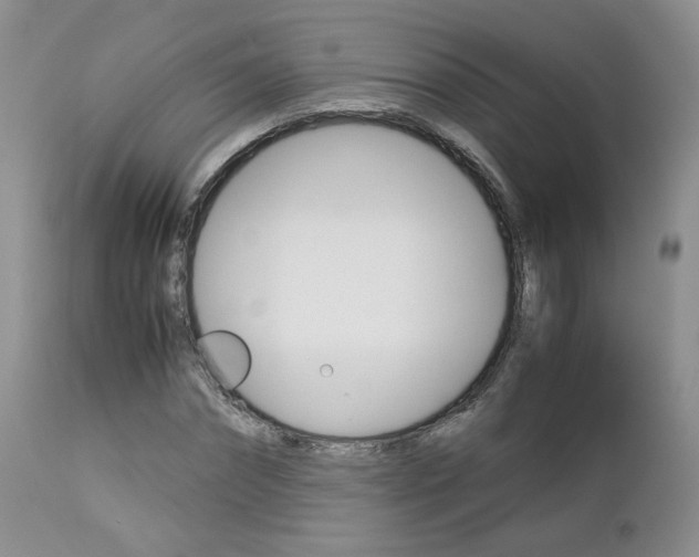 X0000113110874200908281015