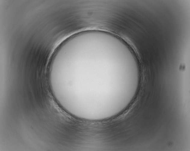 X0000113110876200908281015