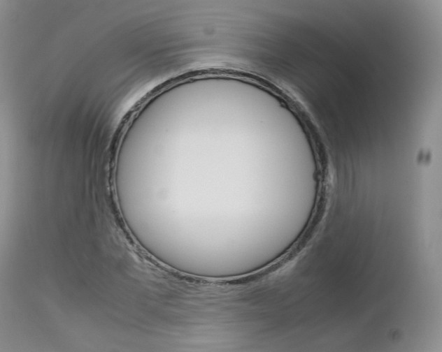 X0000113110877200908281015