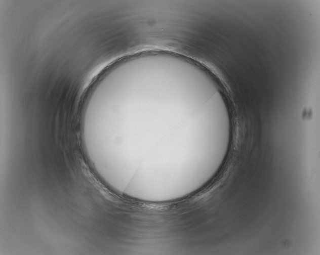 X0000113110878200908281015
