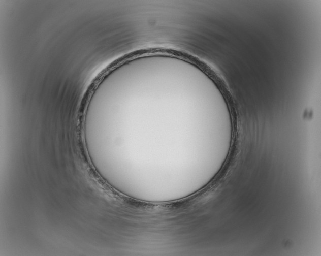 X0000113110879200908281015