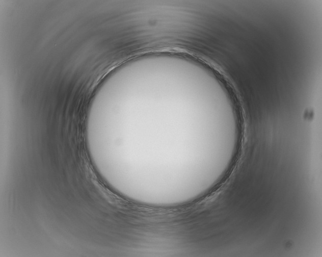 X0000113110881200908281015