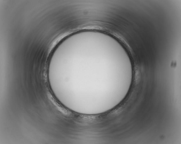 X0000113110882200908281015