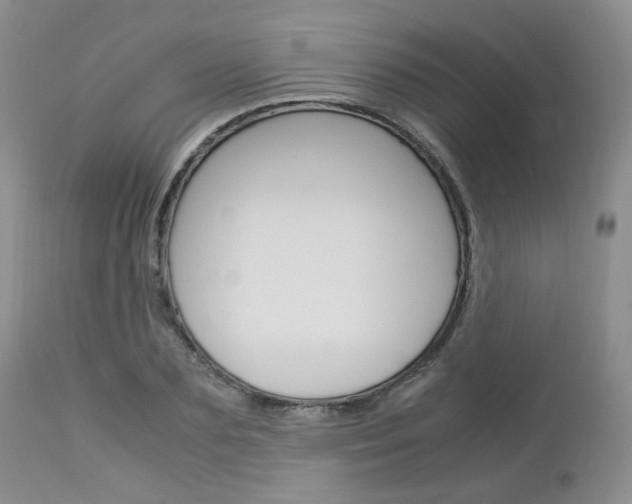X0000113110883200908281015