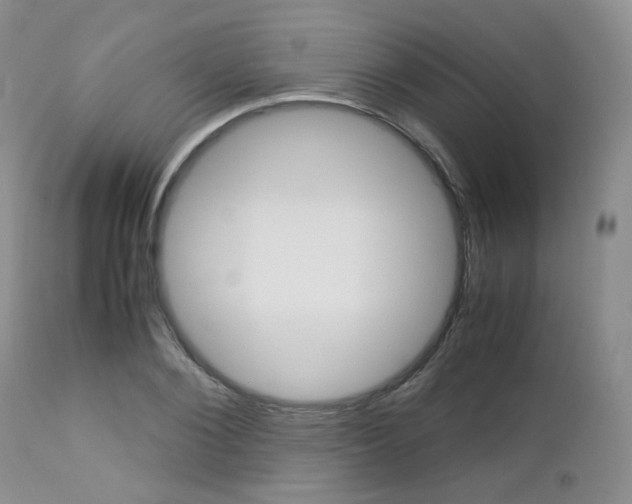 X0000113110884200908281015