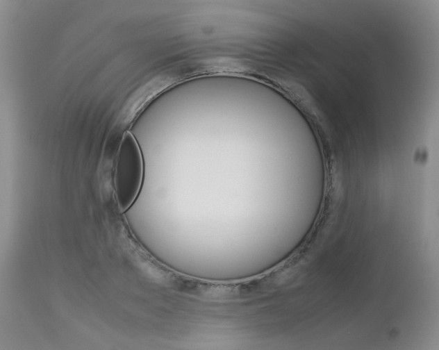 X0000113110889200908281014