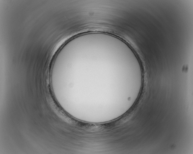 X0000113110891200908281014