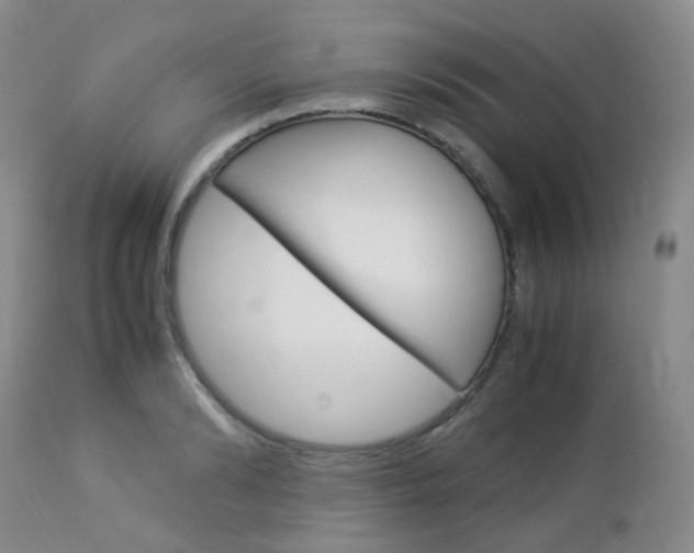 X0000113110894200908281014