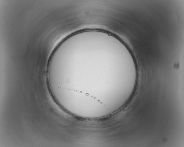 X0000113110895200908281014