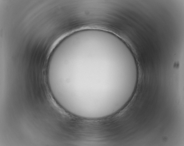 X0000113110896200908281014