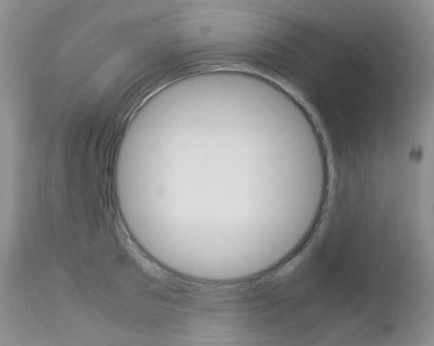 X0000113110897200908281014