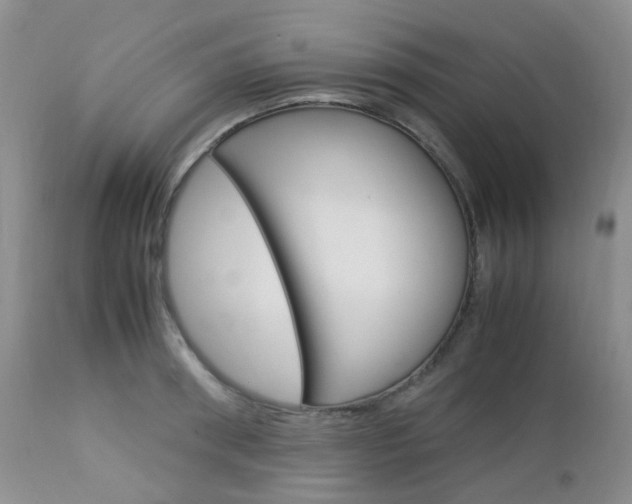 X0000113110898200908281014