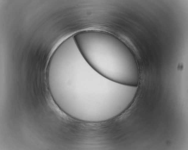 X0000113110900200908281014
