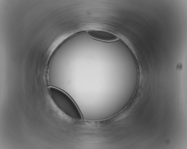 X0000113110901200908281014