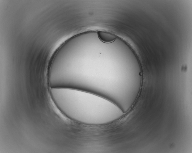 X0000113110902200908281014