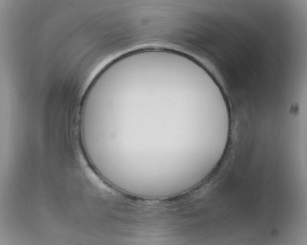 X0000113110903200908281014