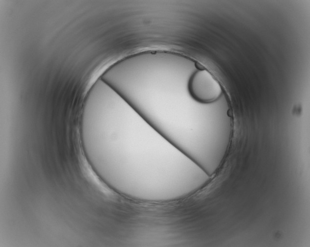 X0000113110906200908281014