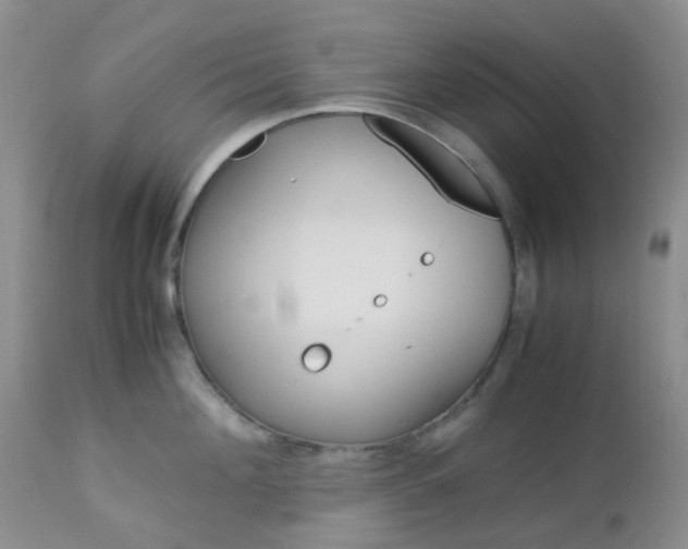 X0000113110908200908281014
